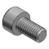 C-PPSB, C-PPKB - C-VALUE Plastic Hex Socket Head Cap Screws - Material: PPS / PEEK -