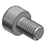 RENB, PPSB, PEKB - Resin Hexagon Socket Head Cap Screws - RENY, PPS, PEEK