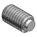 SBPP, SBPPS, SBCP, SBCPS, SBCT, SBCTS - Hexagon Socket Set Screws - Soft Point Type