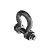 SHR-36511 - Anchor Shackles - Bolt Type